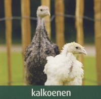 Pluimvee Vandamme Kalkoen