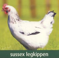 Vergroot foto