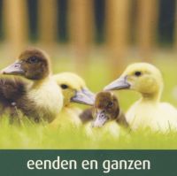 Vergroot foto