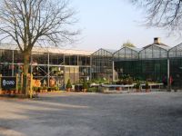Plantencentrum "De Vrijboom" Chrysanten
