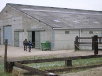 De Paardehoeve Paardenbox