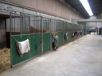 De Paardehoeve Paardenbox
