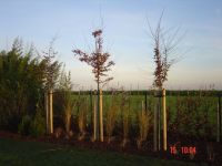 Greenzone Maaien