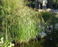 Greenzone Maaien