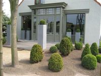 Vergroot foto