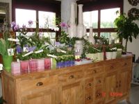 Bloemen Testelmans Bruidswerk