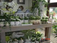 Bloemen Testelmans Bruidswerk