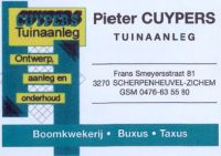 Cuypers Tuinaanleg Beplanting