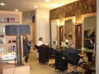 Coiffure Caprice Brushing