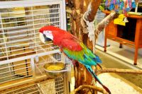 Happy Zoo Eukanuba