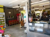 MC Hair Trendy kapsel
