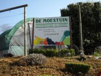 De Moestuin Paarden