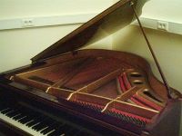 A.A.O Joris Herman Piano