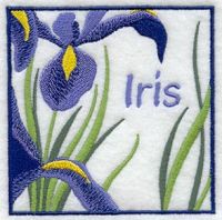 Iris bvba Dagvers