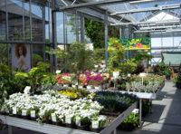 Tuinaanleg Lieten-Lieten Tuinarchitectuur