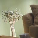 BP DECOR BVBA Gyprocwanden