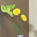 BP DECOR BVBA Gyprocwanden