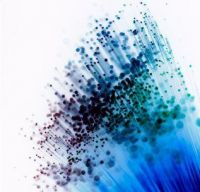 N.C.S.-Network Cabling Solutions Environ