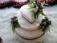 Patisserie D&eacute;lice (delice) Feesttaarten