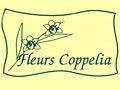 Coppelia Fleurs Montage