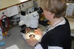 Beriaux Optique SPRL Test