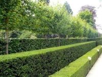 Jardins de Valentine (Les) Exterieur