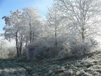 Vergroot foto
