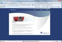 Animatic Website ontwerp