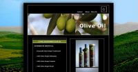 Animatic Website ontwerp