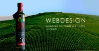 Animatic Website ontwerp