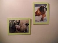Argus dierenartsenpraktijk Valerie Gielen Gedragsproblemen