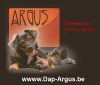 Argus dierenartsenpraktijk Valerie Gielen Gedragsproblemen