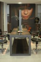 Art&egrave;s Haarstudio Redken