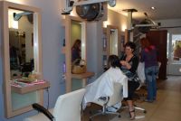 Kapsalon Alpha Style Frames