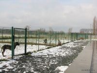Vergroot foto