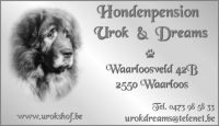 Vergroot foto