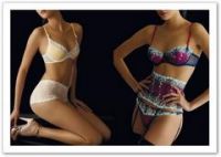 Emmy's Lingerie D&G