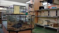 De Wuiten Dierenzaak Eukanuba
