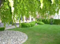 Onderhoud Tuinen - Tuin - Renovatie Raman Pascal Tuinrenovatie