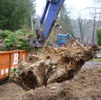 Onderhoud Tuinen - Tuin - Renovatie Raman Pascal Tuinrenovatie