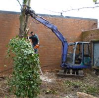 Onderhoud Tuinen - Tuin - Renovatie Raman Pascal Tuinrenovatie
