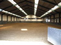 Manege 't Hoefijzer Paardenbox