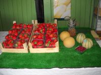 Aardbeienhoeve