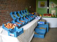 Aardbeienhoeve