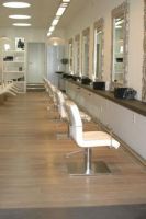 't Salon Brushing