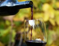 nonsolovino Balsamico