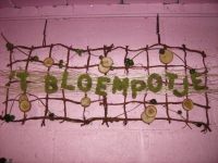 Bloempotje ('t)