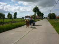 Vergroot foto