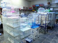 oisellerie Aquarium
