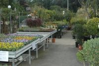 Tuincentrum SECO Katteneten